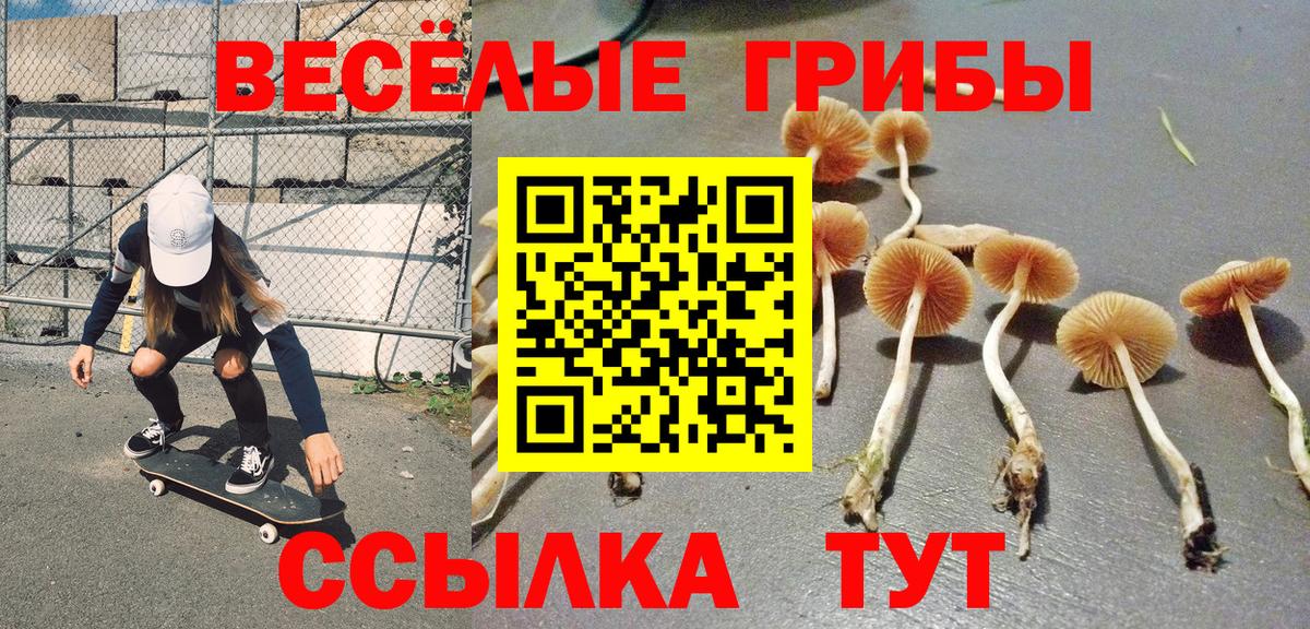 Псилоцибиновые грибы MAGIC MUSHROOMS Балашиха