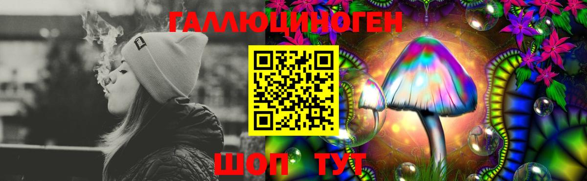 Балашиха  Галлюциногенные грибы Psilocybine cubensis  Вход с VPN 